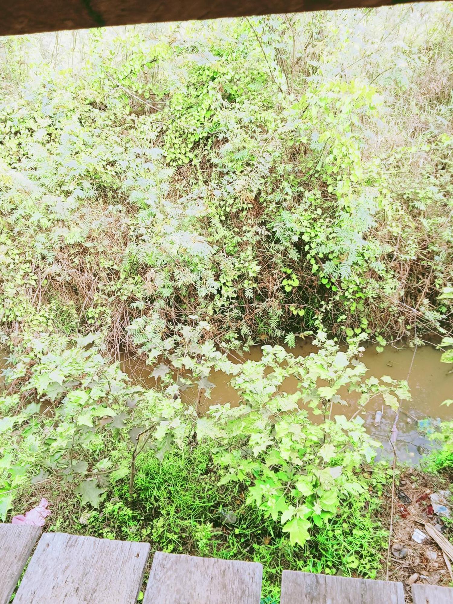 Chamkachuk Home Siem Reap Zewnętrze zdjęcie